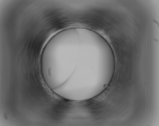 X0000091241008200708301534