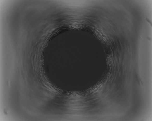 X0000091241009200708301533