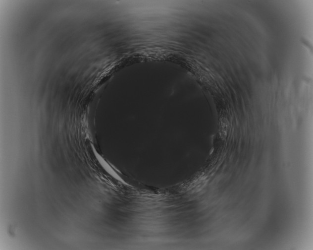 X0000091241010200708301533