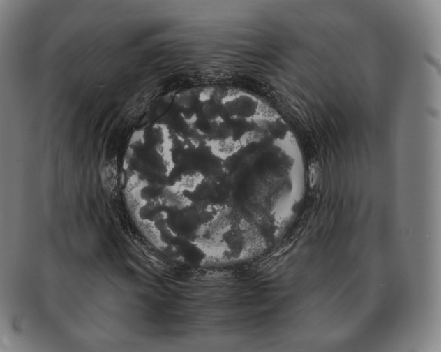 X0000091241011200708301533