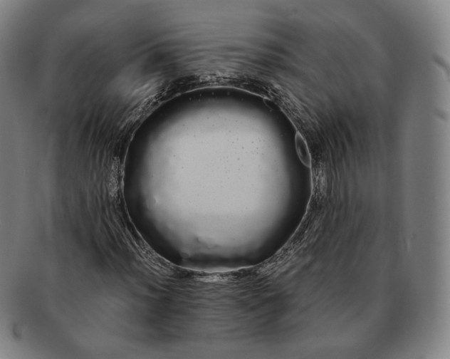 X0000091241012200708301533