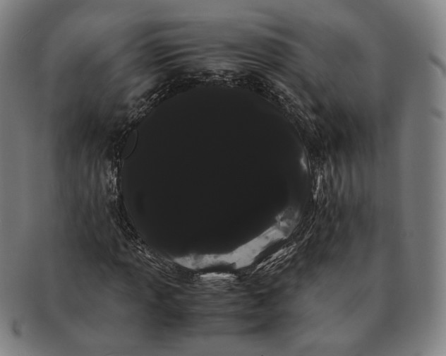 X0000091241013200708301533