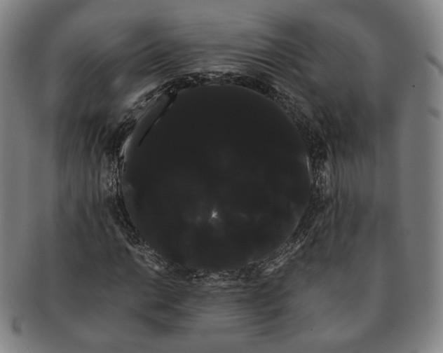 X0000091241014200708301533