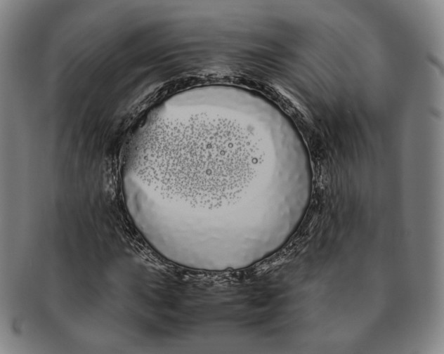 X0000091241015200708301533