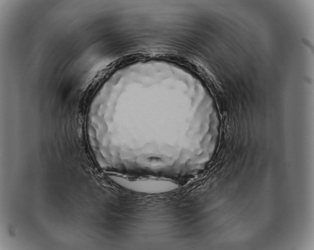 X0000091241016200708301533