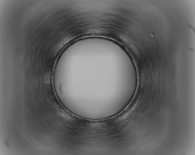 X0000091241017200708301533