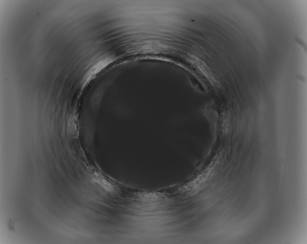 X0000091241018200708301533