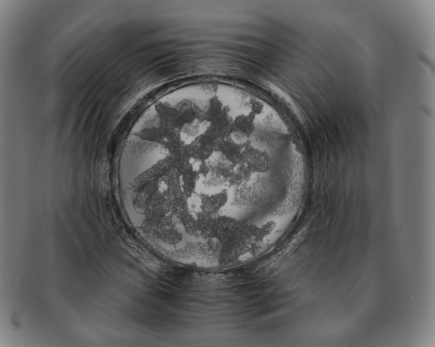 X0000091241019200708301533