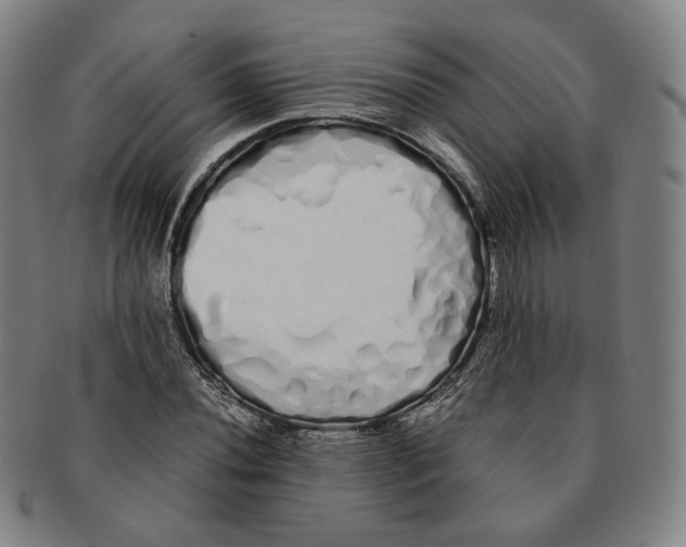 X0000091241020200708301533