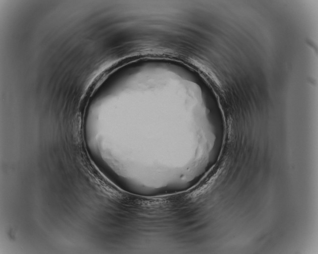 X0000091241021200708301534