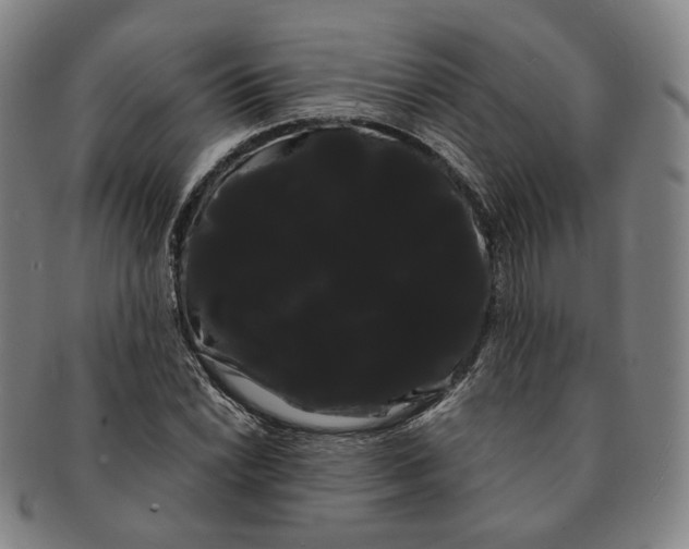 X0000091241022200708301534