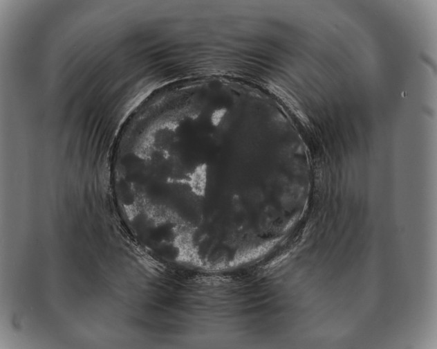 X0000091241023200708301534