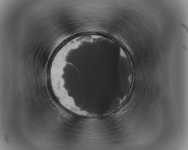 X0000091241024200708301534