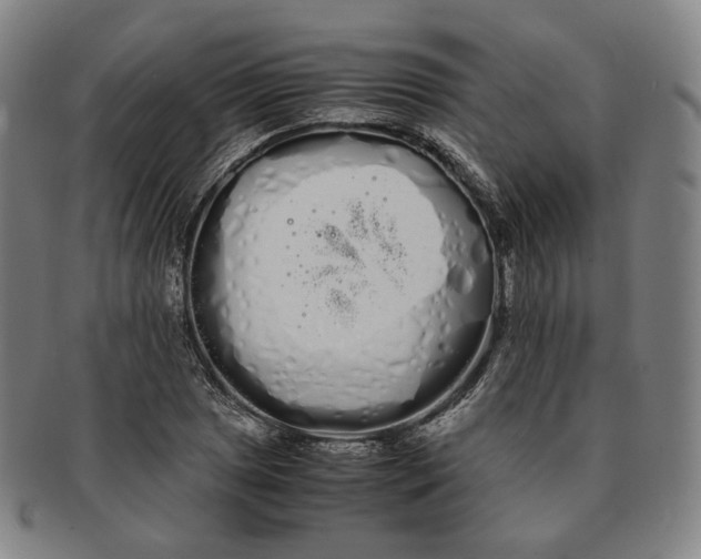 X0000091241025200708301534