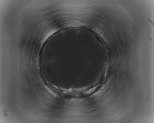 X0000091241026200708301534