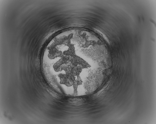 X0000091241027200708301534