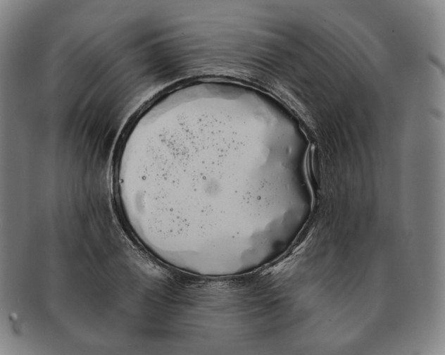 X0000091241028200708301534