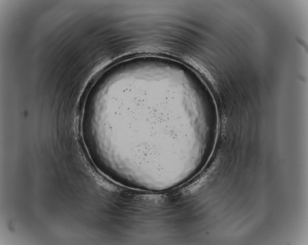 X0000091241029200708301534