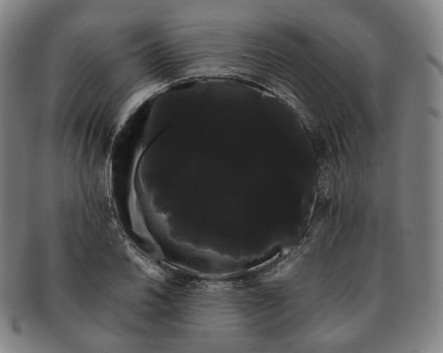 X0000091241030200708301534