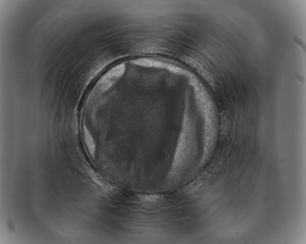 X0000091241031200708301534