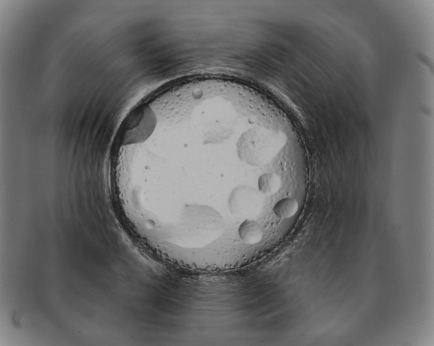 X0000091241032200708301534