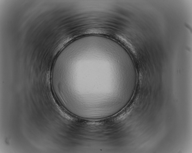 X0000091241033200708301534