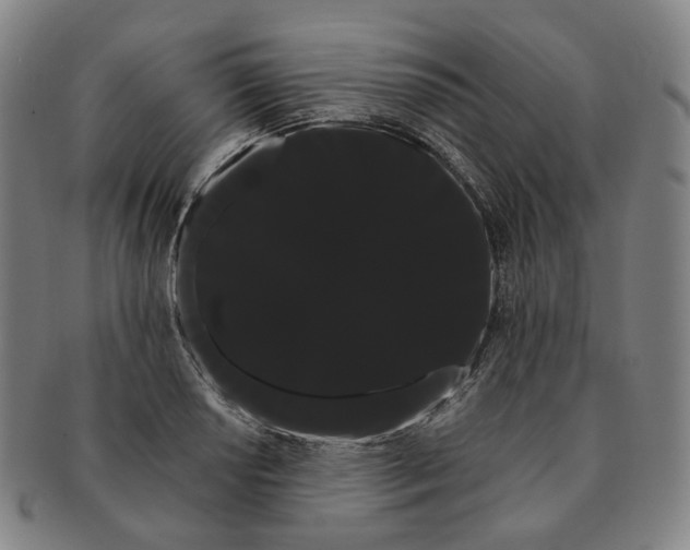 X0000091241034200708301534