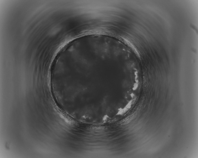 X0000091241035200708301534