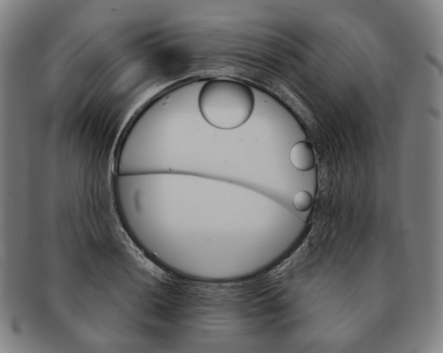 X0000091241036200708301534