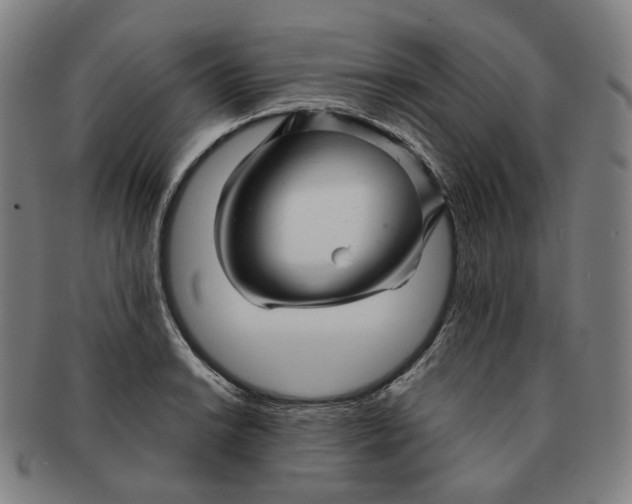 X0000091241038200708301534