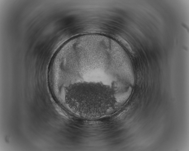 X0000091241039200708301534