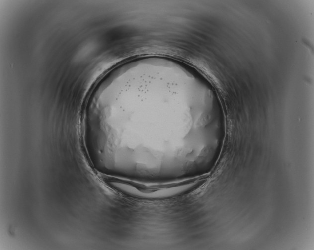 X0000091241040200708301534