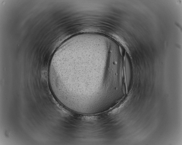 X0000091241041200708301534