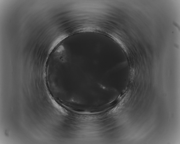 X0000091241042200708301534