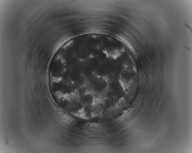 X0000091241043200708301534