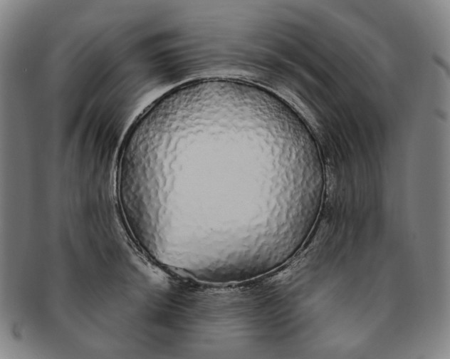 X0000091241044200708301534