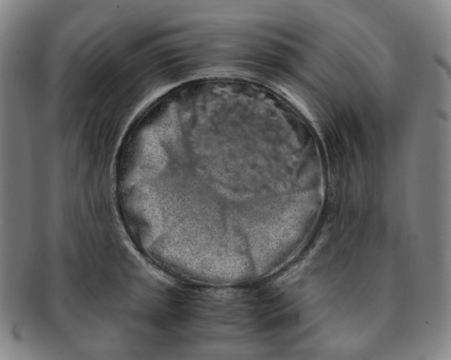 X0000091241045200708301534