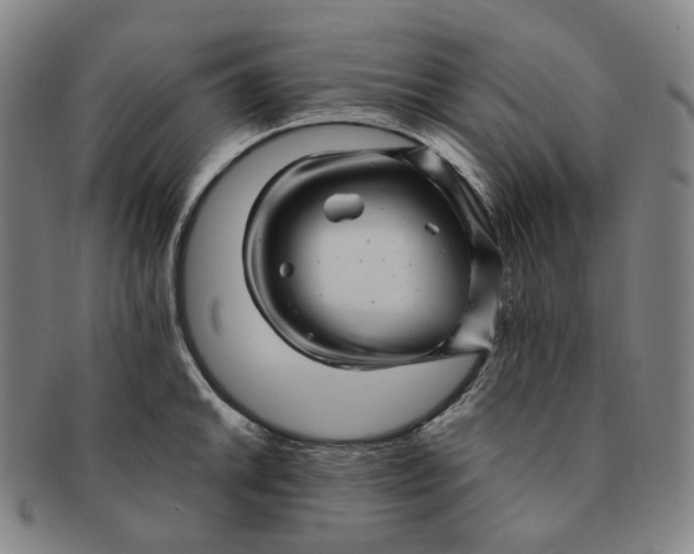 X0000091241046200708301534