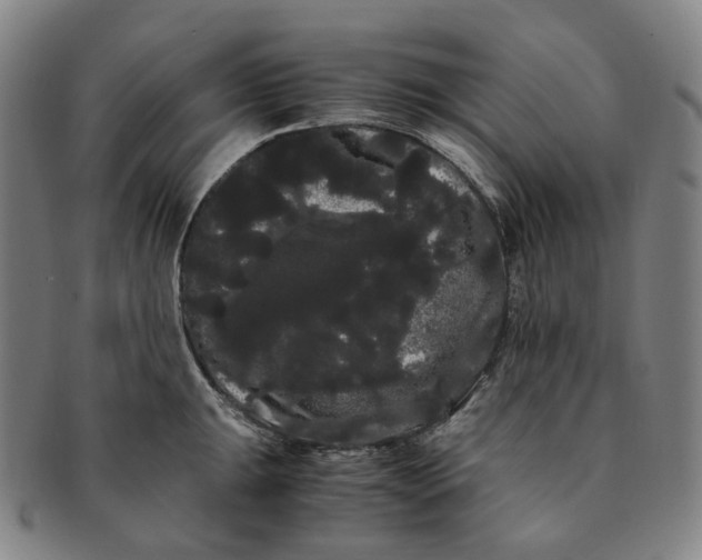 X0000091241047200708301534