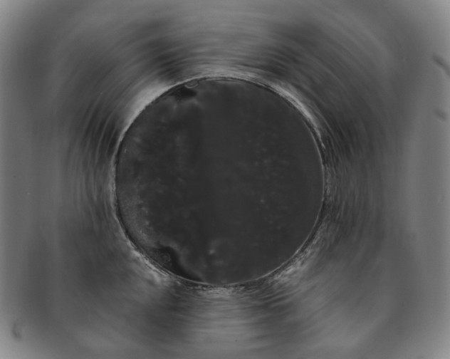 X0000091241048200708301534