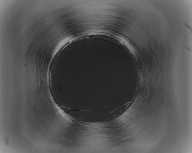 X0000091241050200708301534