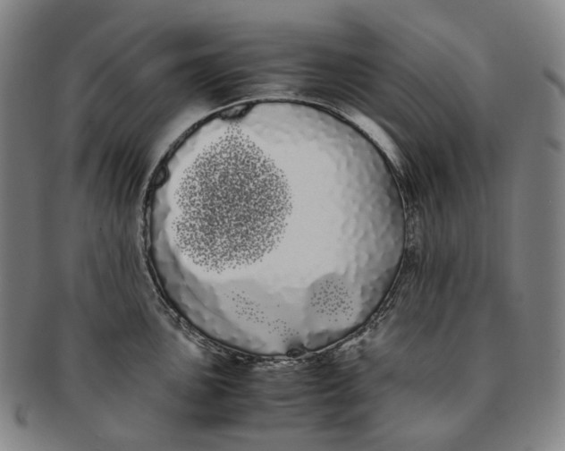 X0000091241051200708301534