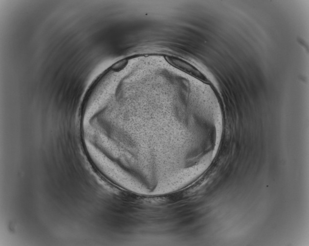 X0000091241053200708301534