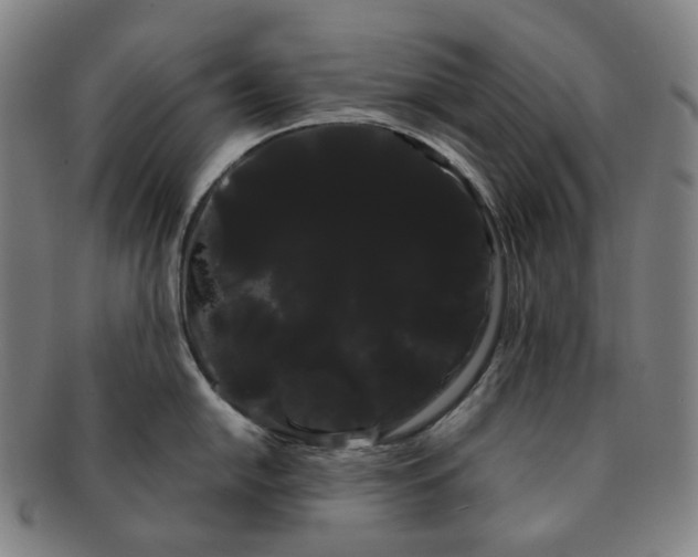 X0000091241054200708301534