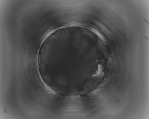 X0000091241055200708301534