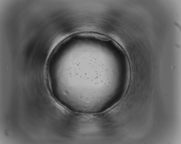 X0000091241056200708301534