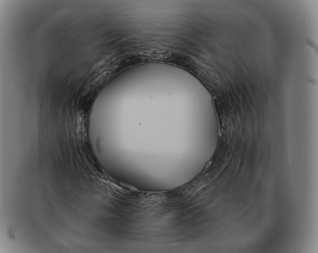 X0000091241058200708301533