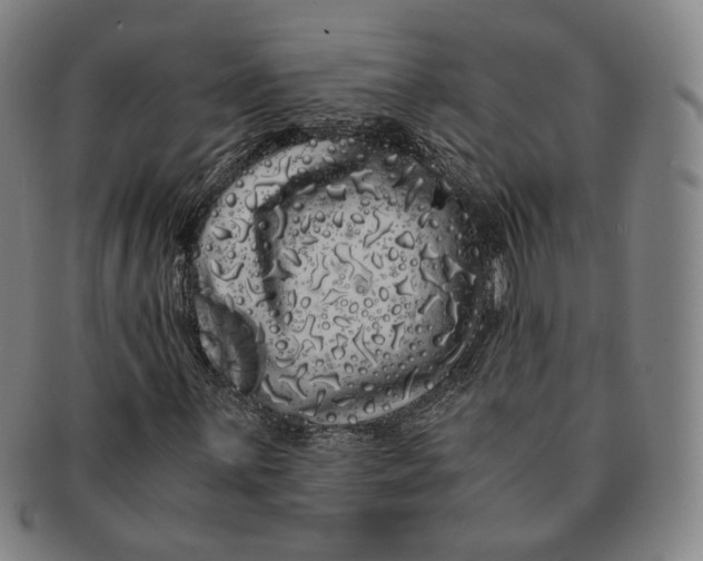 X0000091241059200708301533