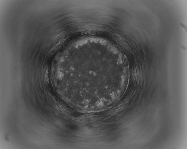 X0000091241060200708301533