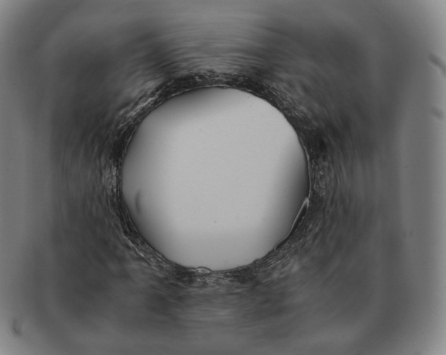 X0000091241061200708301533